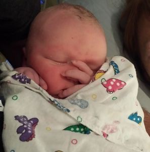 Meet your Posher, Sylvia